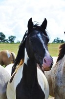 Bienvenue sur notre site